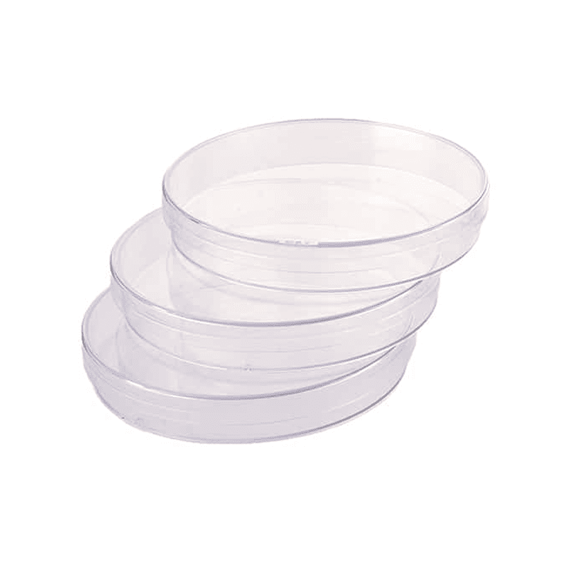 petri dish in UAE petri dish in UAE